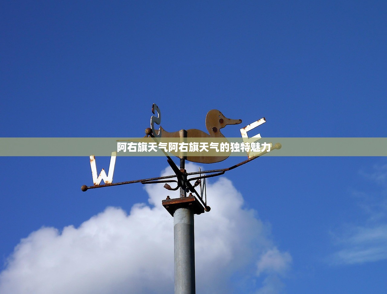 阿右旗天气阿右旗天气的独特魅力  第1张