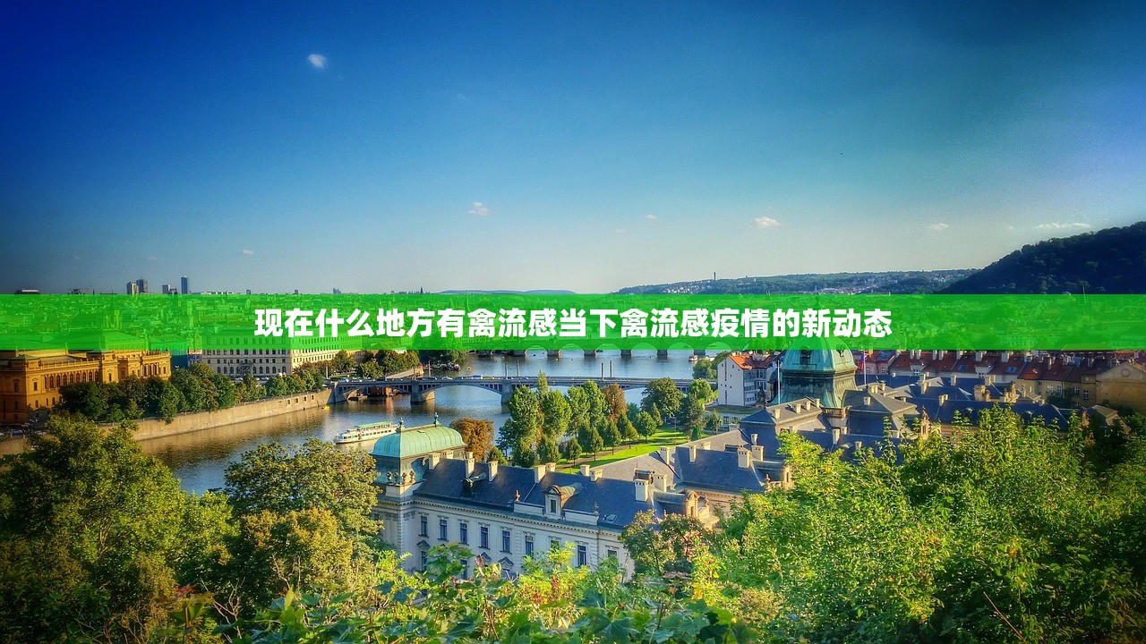 现在什么地方有禽流感当下禽流感疫情的新动态  第1张