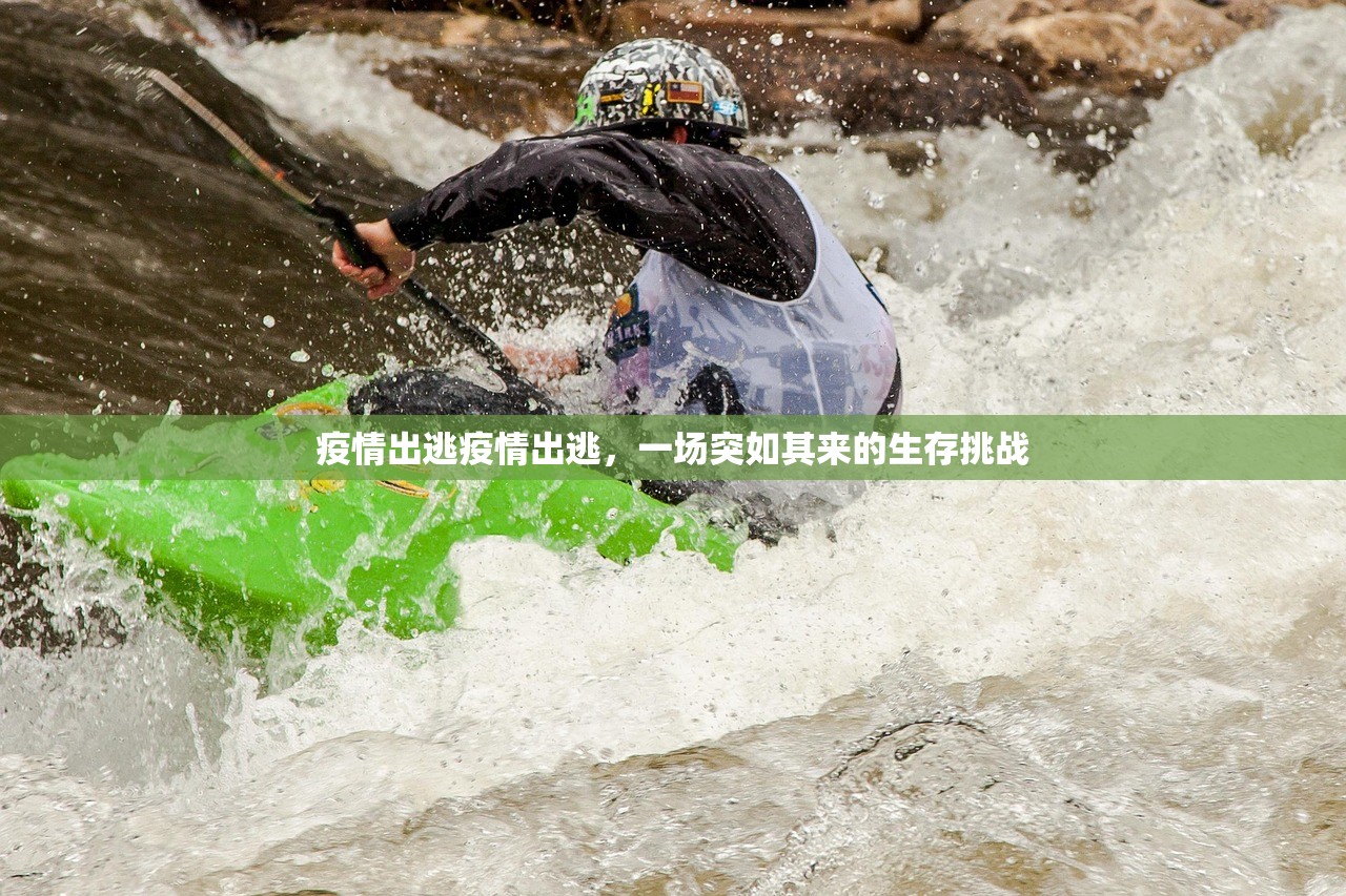 疫情出逃疫情出逃,一场突如其来的生存挑战 第1张 疫情出逃疫情出逃,一场突如其来的生存挑战 第1张