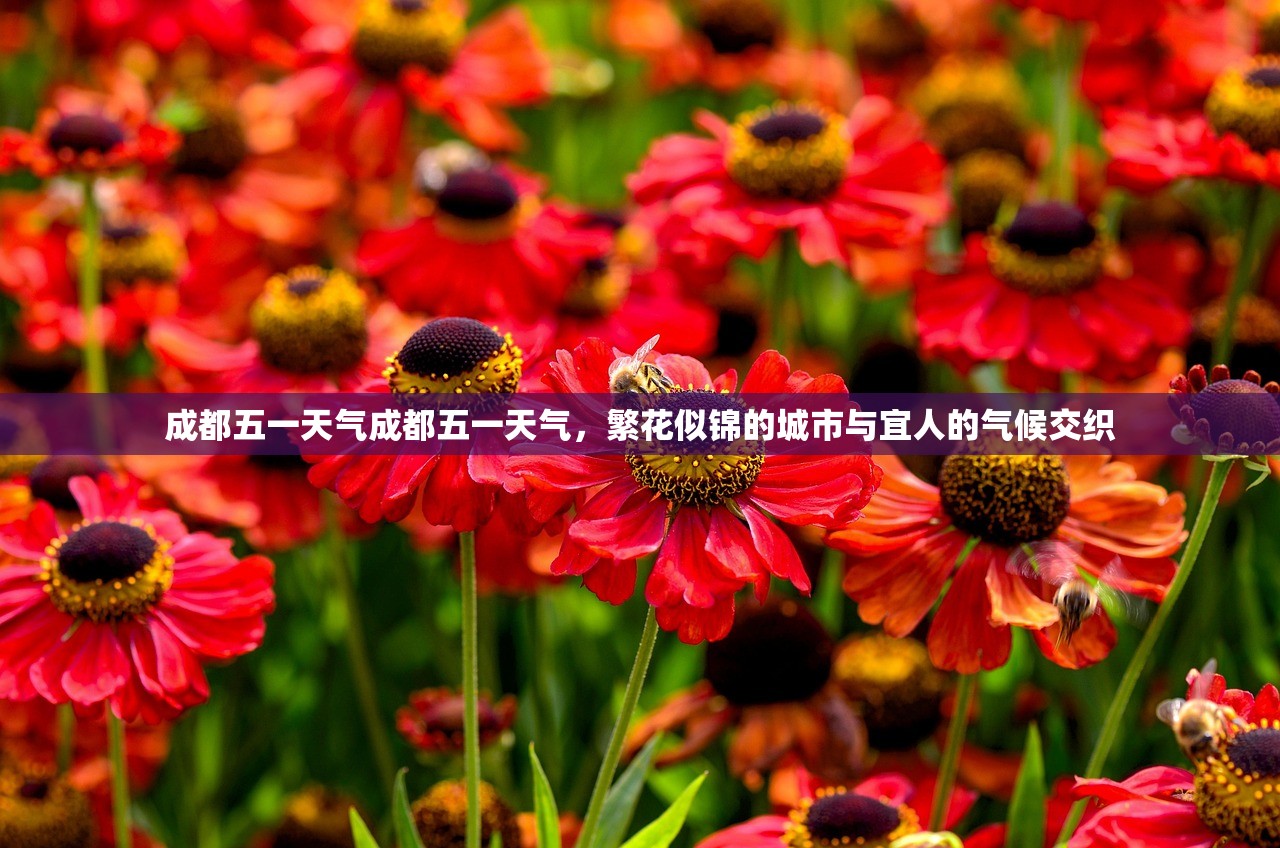 成都五一天气成都五一天气，繁花似锦的城市与宜人的气候交织  第1张