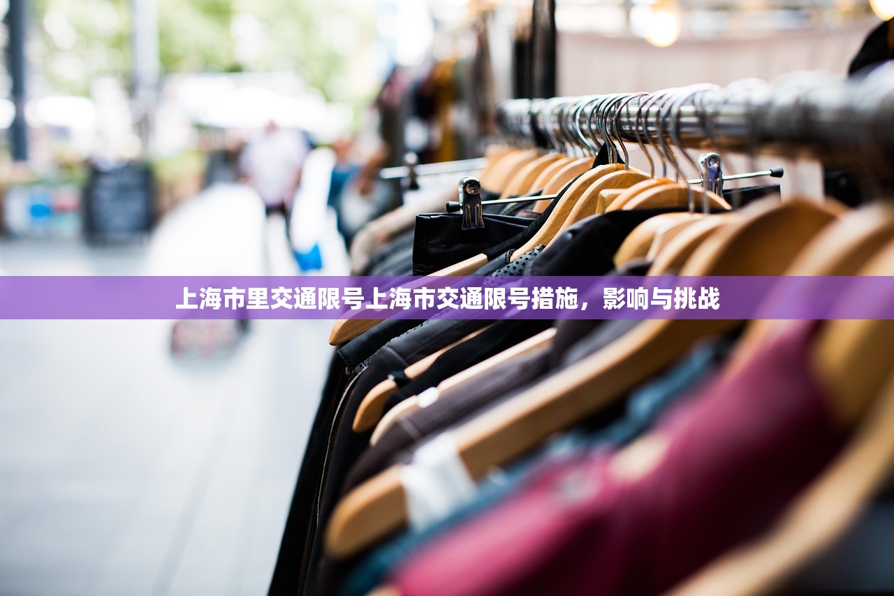 上海市里交通限号上海市交通限号措施,影响与挑战 第1张 上海市里交通限号上海市交通限号措施,影响与挑战 第1张