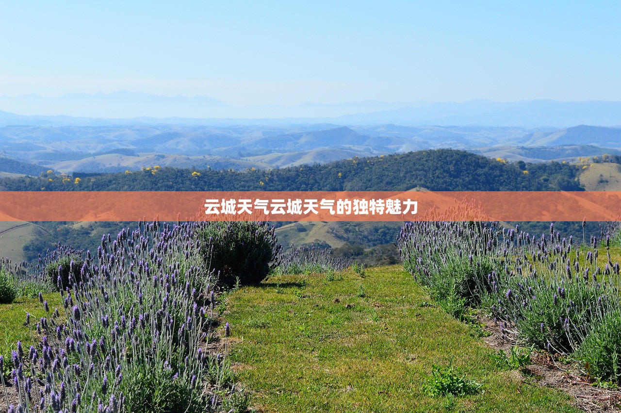 云城天气云城天气的独特魅力  第1张