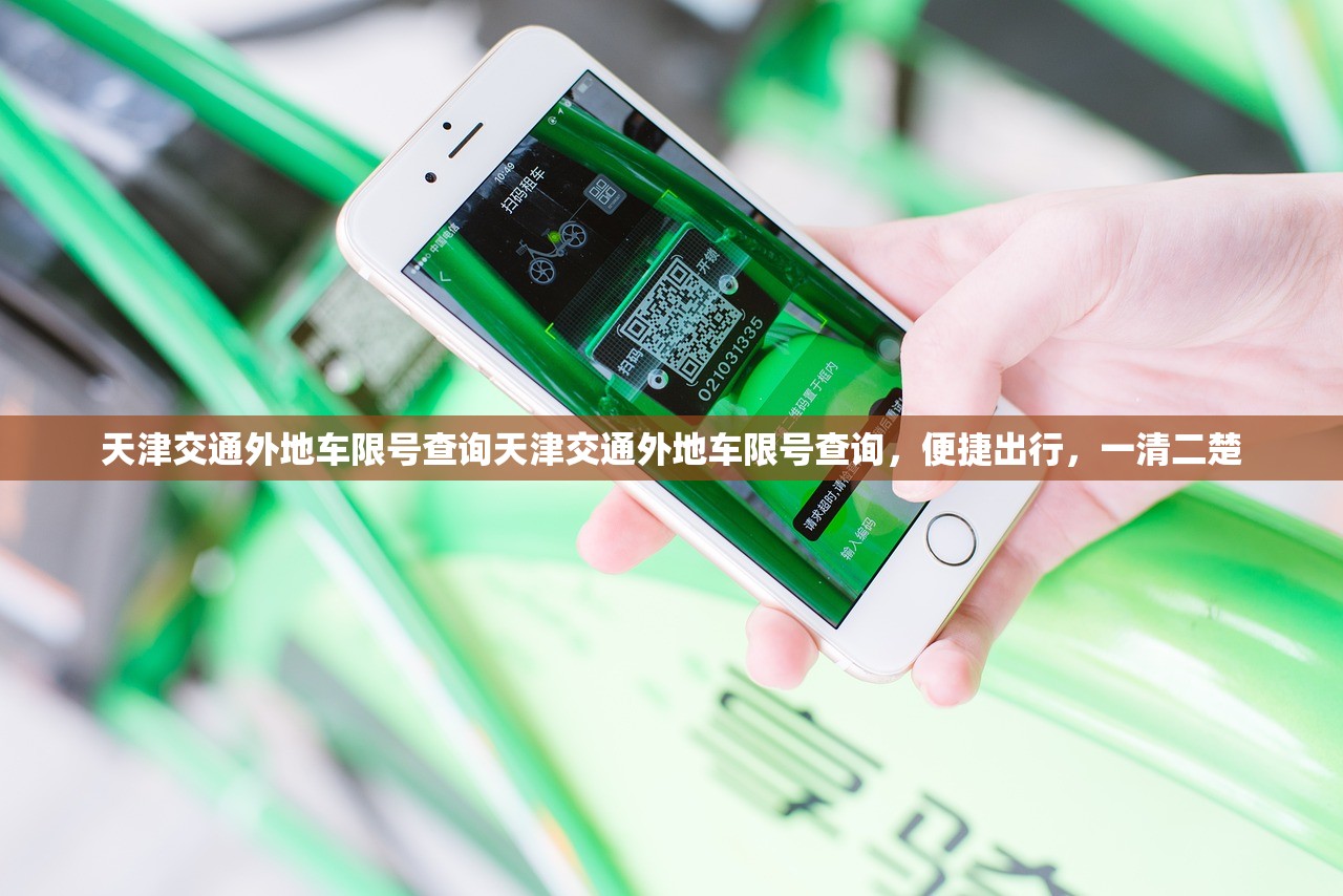 天津交通外地车限号查询天津交通外地车限号查询，便捷出行，一清二楚  第1张