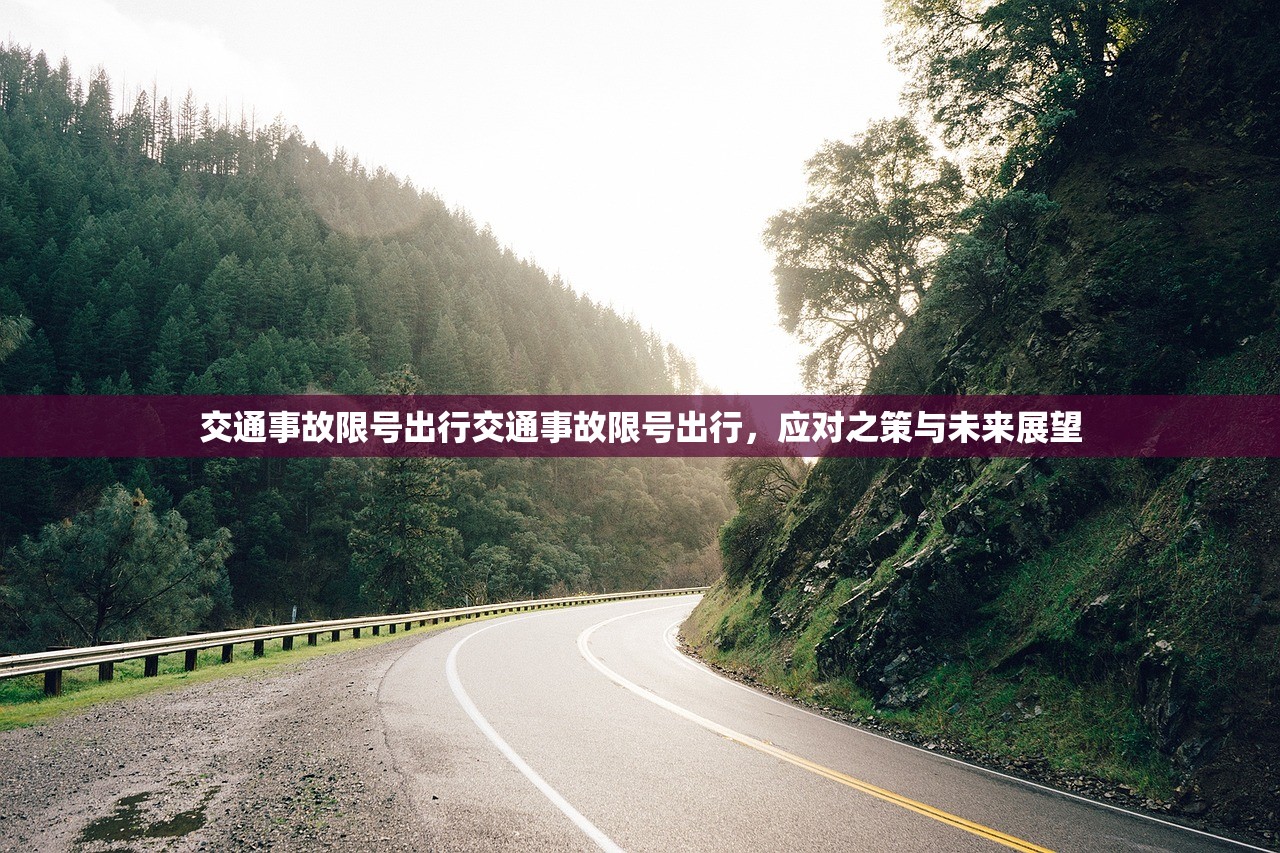 交通事故限号出行交通事故限号出行，应对之策与未来展望  第1张