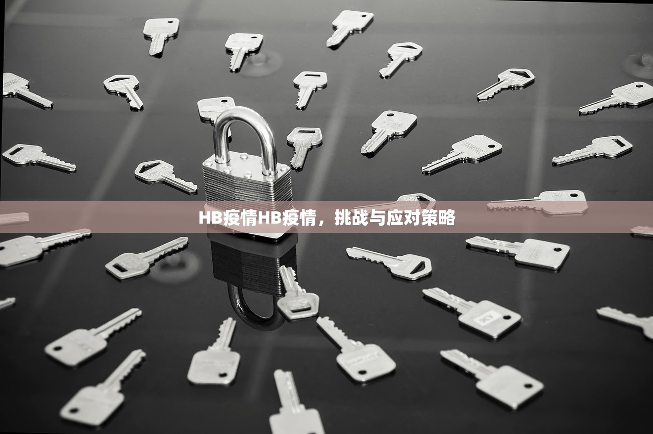 HB疫情HB疫情，挑战与应对策略  第1张