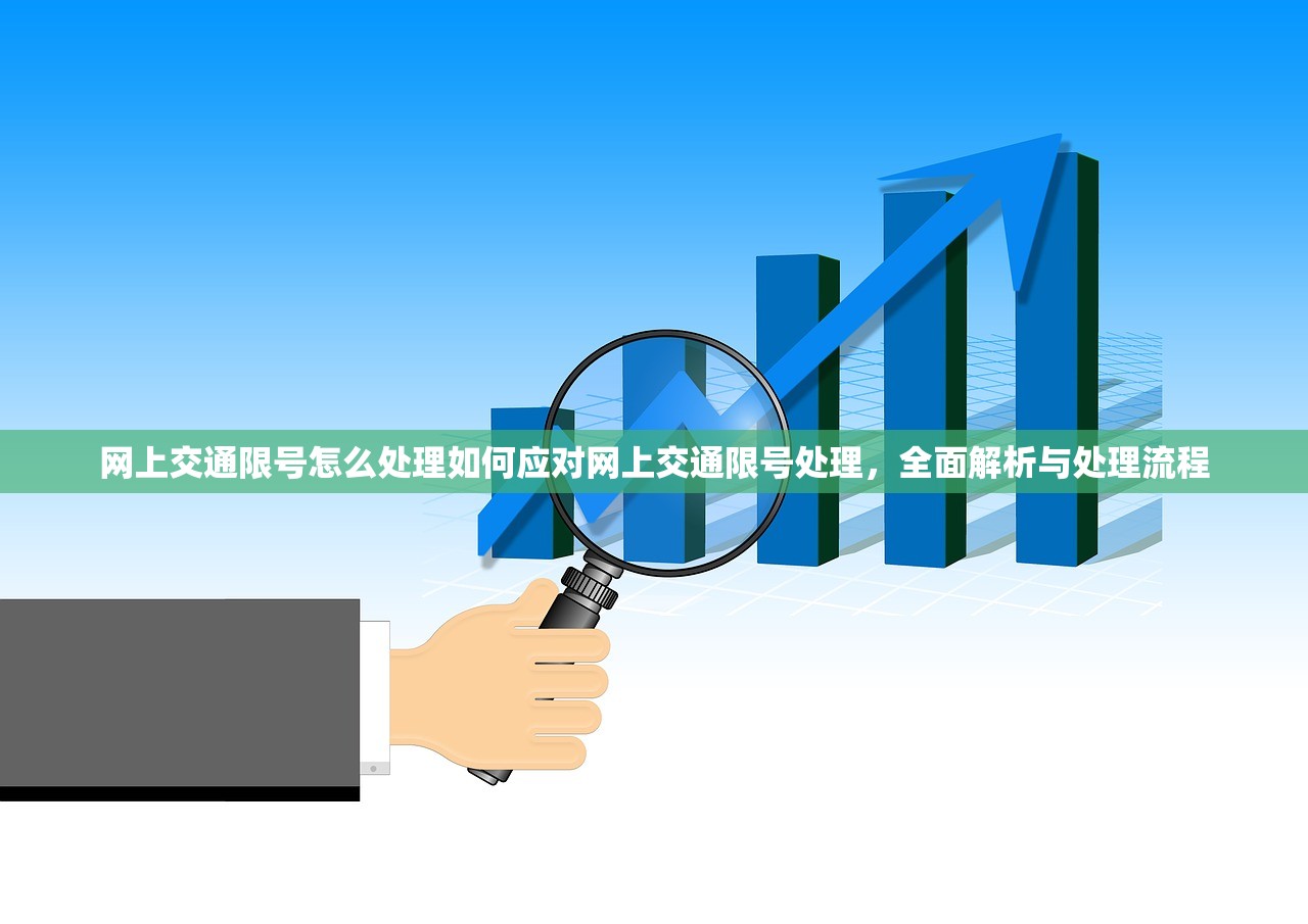 网上交通限号怎么处理如何应对网上交通限号处理，全面解析与处理流程  第1张