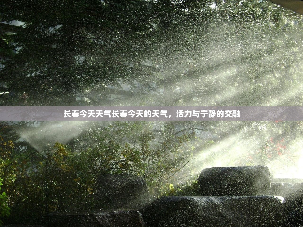 长春今天天气长春今天的天气，活力与宁静的交融  第1张