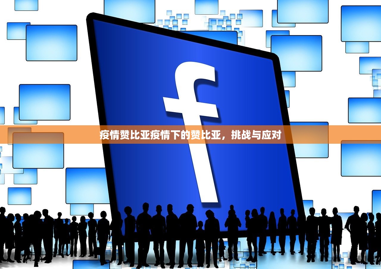 疫情赞比亚疫情下的赞比亚，挑战与应对  第1张