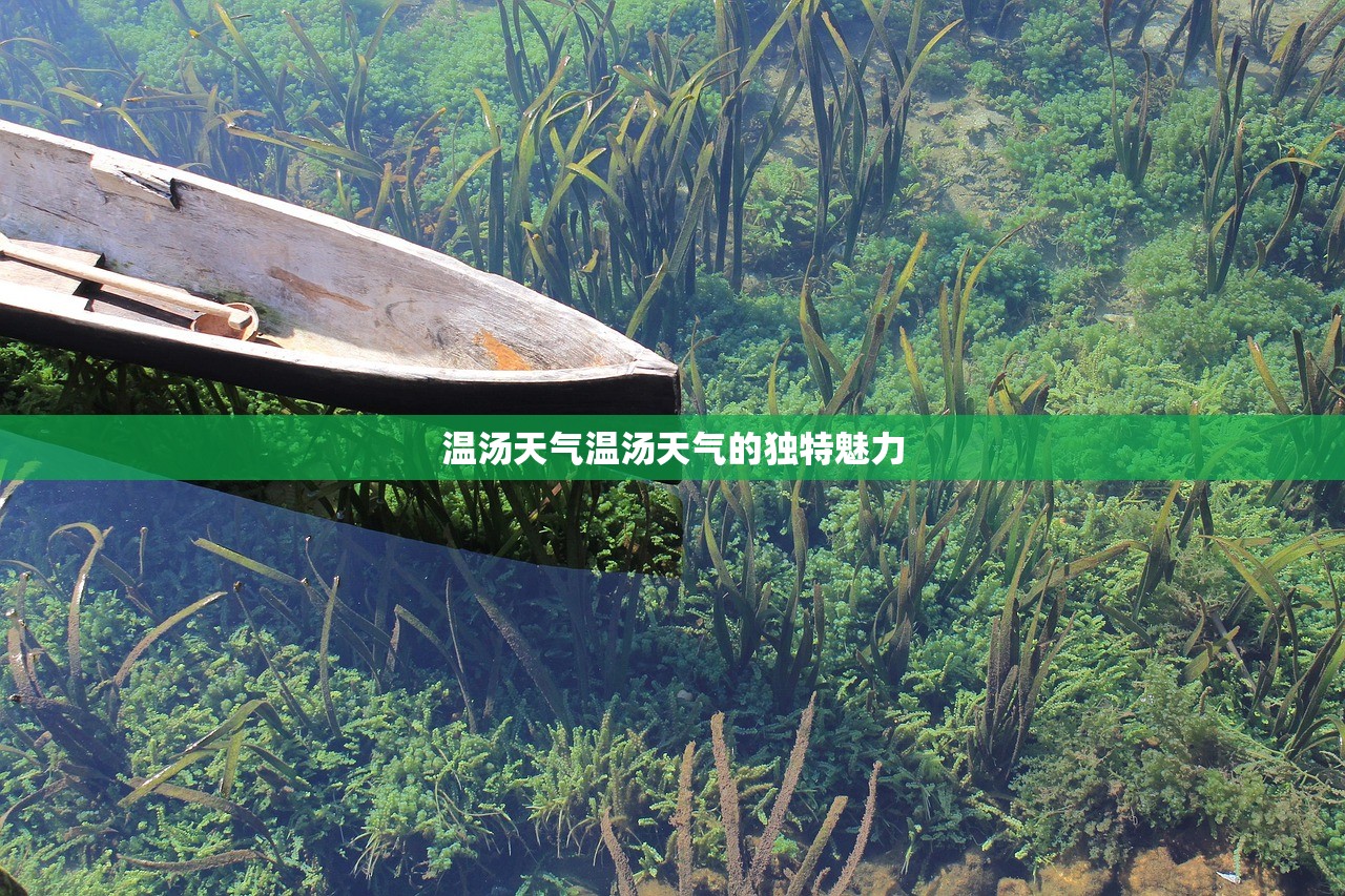 温汤天气温汤天气的独特魅力 第1张 温汤天气温汤天气的独特魅力 第1张