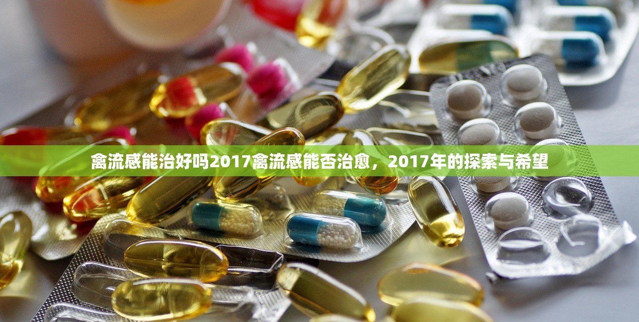 禽流感能治好吗2017禽流感能否治愈，2017年的探索与希望  第1张
