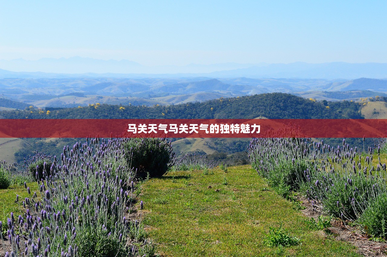 马关天气马关天气的独特魅力  第1张