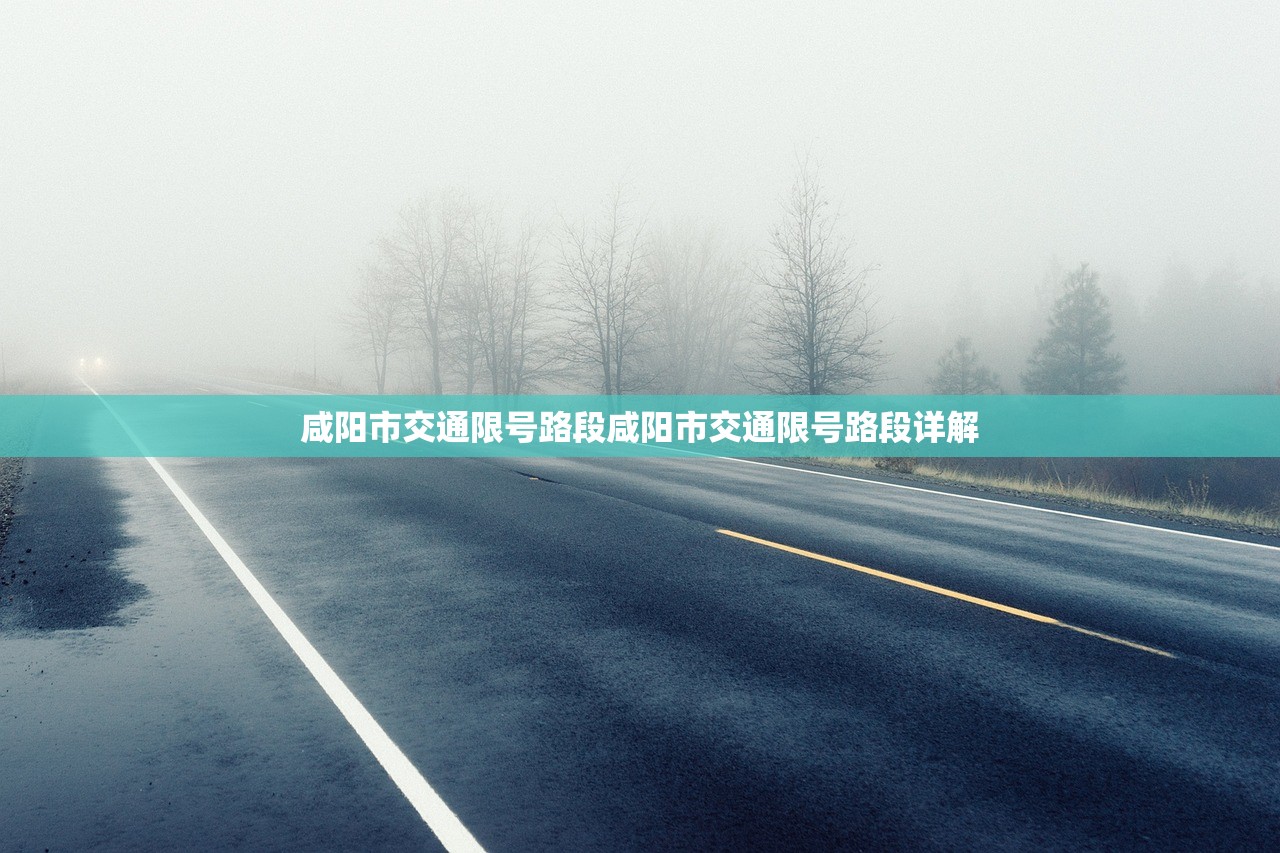 咸阳市交通限号路段咸阳市交通限号路段详解  第1张