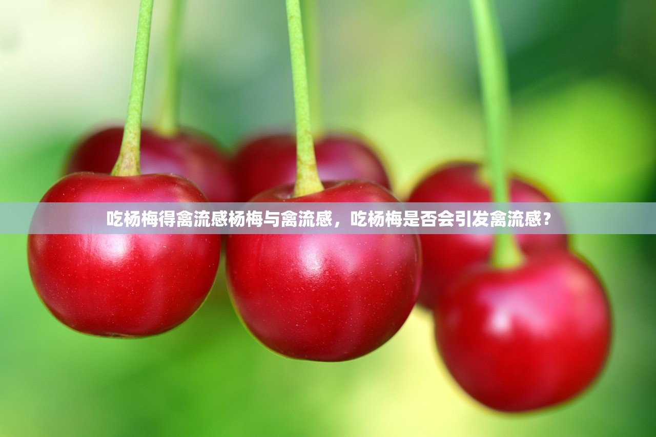 吃杨梅得禽流感杨梅与禽流感，吃杨梅是否会引发禽流感？  第1张